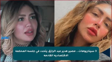 3 سيناريوهات.. مصير هدير عبد الرازق يتحدد في جلسة المحكمة الاقتصادية القادمة